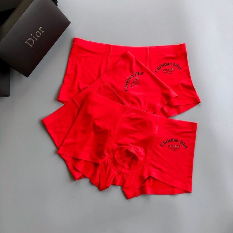 Dior Panties